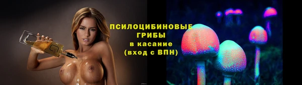 молекула духа Медногорск