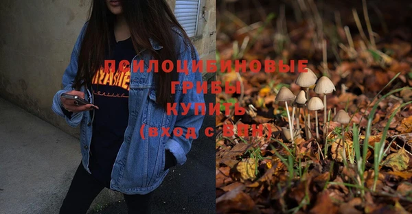 a pvp Мегион