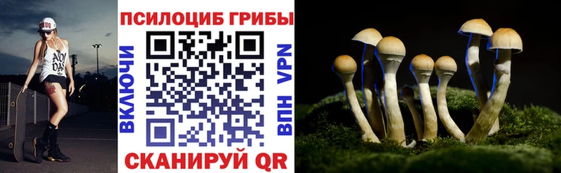 Купить закладки  Анапа  Псилоцибиновые грибы мицелий 